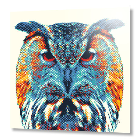 Owl // Aluminum (16"W x 16"H x 0.1"D)