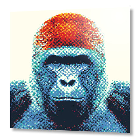 Gorilla // Aluminum (16"W x 16"H x 0.1"D)