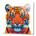 Tiger // Aluminum (16"W x 16"H x 0.1"D)