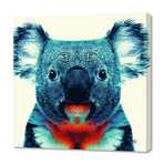 Koala // Canvas (16"W x 16"H x 1.5"D)