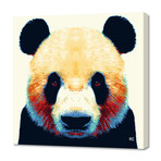 Panda // Canvas (16"W x 16"H x 1.5"D)