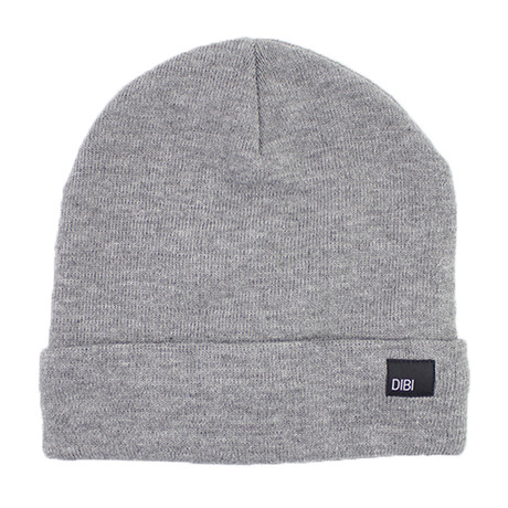 Fleece Lined Beanie // Light Gray