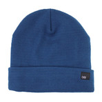 Fleece Lined Beanie // Blue