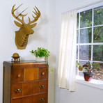 Bucky // Cardboard Deer Head // Large (Large)