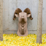 Rocky // Cardboard Ram Head // Brown (Medium)