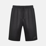 Mesh Paneled Shorts // Black (L)