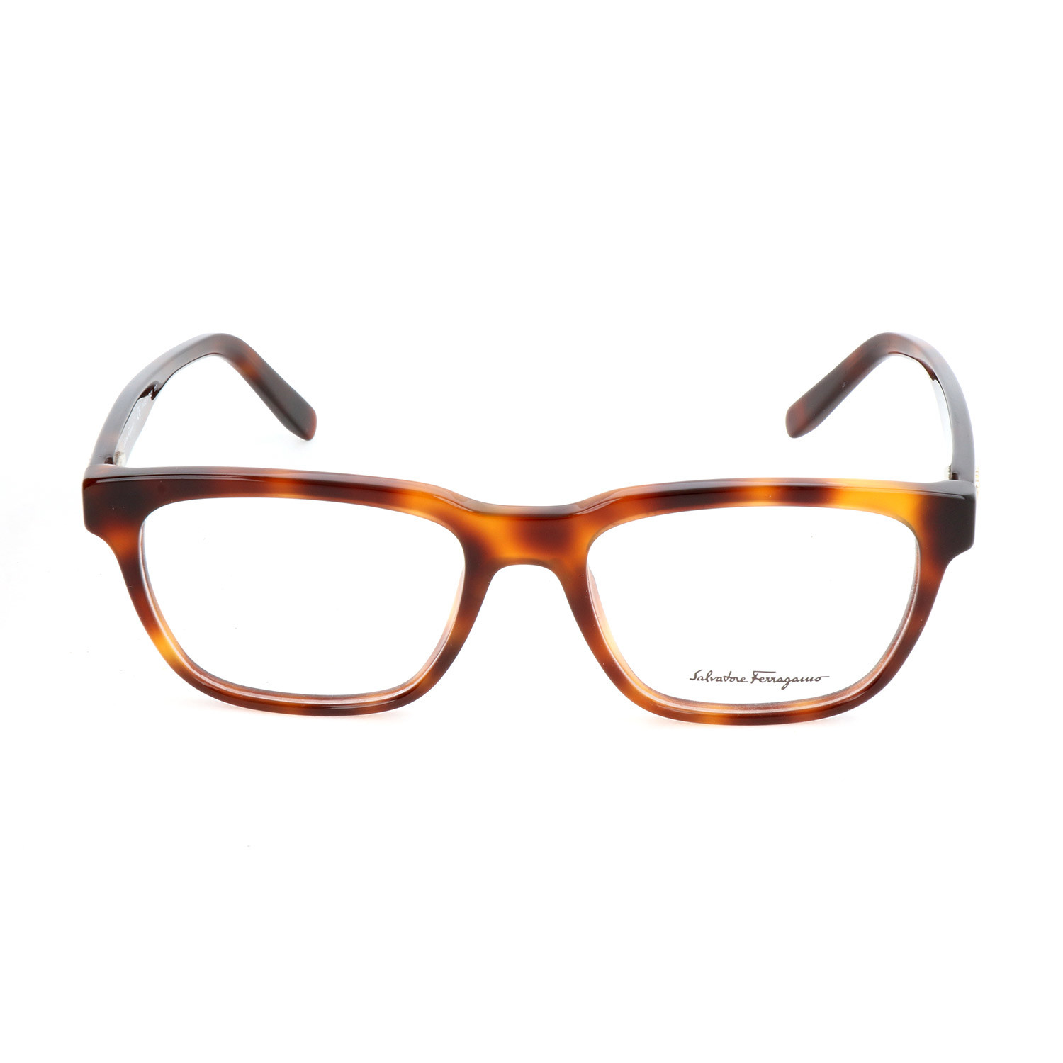 Men's Thomas Optical Frames // Havana - Designer Glasses - Touch of Modern