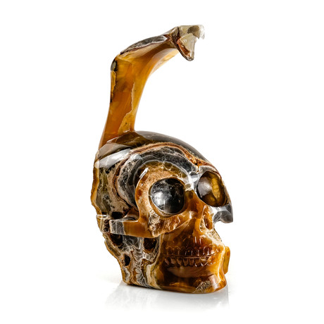 Carved Onyx Skull + Cobra
