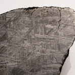 Genuine Muonionalusta Meteorite Slice