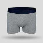 Campus Boxer // Blue + Gray // Set of 3 (S)