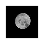Full Moon // C-Print (11.8"W x 11.8"H)