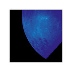 Blue Moon // C-Print (11.8"W x 11.8"H)