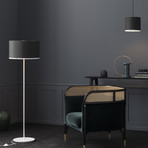 Antares Floor Lamp // Sargas 45 (Dark Grey)