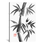 Bamboo (18"W x 26"H x 0.75"D)
