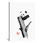 Panda On A Tree (18"W x 26"H x 0.75"D)