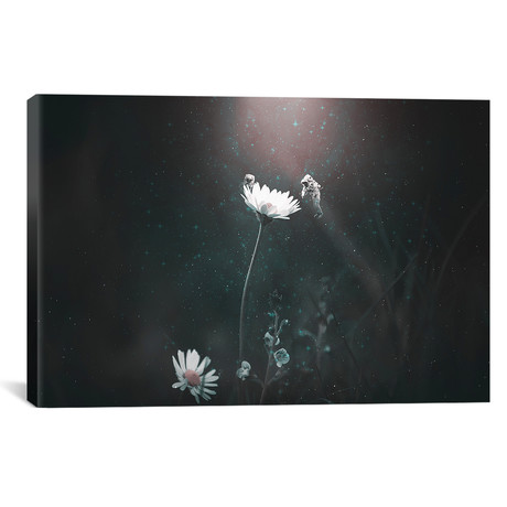 Blooming Expedition // Shaun Ryken (26"W x 18"H x 0.75"D)