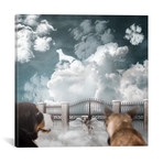 Dog Heaven // Shaun Ryken (18"W x 18"H x 0.75"D)