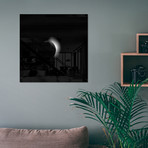 Silver Spur // Plexiglas