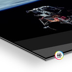 Spider's Prey // Plexiglas