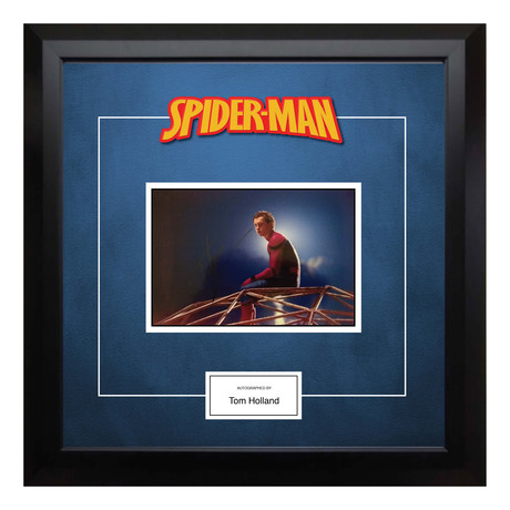 Signed + Framed Artist Series // Spiderman