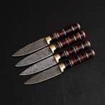 Damascus Paring Knife Set // 4 Piece Set // 9860
