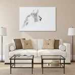 Blanco Mare & Stallion Horse // Frameless Printed Tempered Art Glass (Blanco Mare & Stallion Horse)