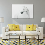 Blanco Mare & Stallion Horse // Frameless Printed Tempered Art Glass (Blanco Mare Only)
