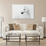 Blanco Mare & Stallion Horse // Frameless Printed Tempered Art Glass (Blanco Mare Only)