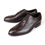 Canali 1934 // Leather Wingtip Design Oxford Dress Shoes // Brown (US: 9)