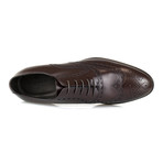Canali 1934 // Leather Wingtip Design Oxford Dress Shoes // Brown (US: 8)