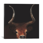 Rusty Oak // Ingrid Beddoes (18"W x 18"H x 0.75"D)