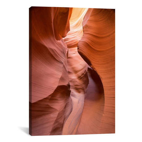 Spiral I // Moises Levy (18"W x 26"H x 0.75"D)