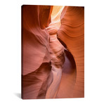 Spiral I // Moises Levy (18"W x 26"H x 0.75"D)