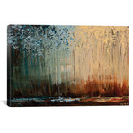 Wonder // Osnat Tzadok