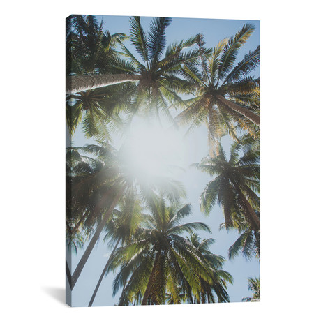 Palm Trees, Philippines II // Luke Anthony Gram (18"W x 26"H x 0.75"D)