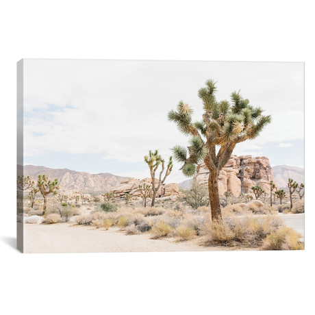 Joshua Tree, Mohave Desert // lovelylittlehomeco (26"W x 18"H x 0.75"D)