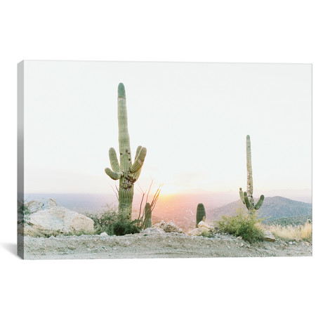 Saguros In The Sun, Tuscon, Arizona // lovelylittlehomeco (26"W x 18"H x 0.75"D)