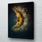 Moonsplosion (18"W x 24"H // Gallery Wrapped)