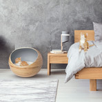 Stylish // Bamboo Cat Bed // Slate