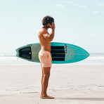 Chameleon Swim Shorts (L)