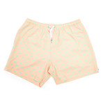 Chameleon Swim Shorts (L)