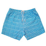 Waves Swim Shorts (XL)