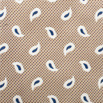 Ermenegildo Zegna // Silk Paisley Pattern Tie // Brown