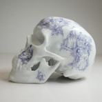 Skull TJ Blue // NooN