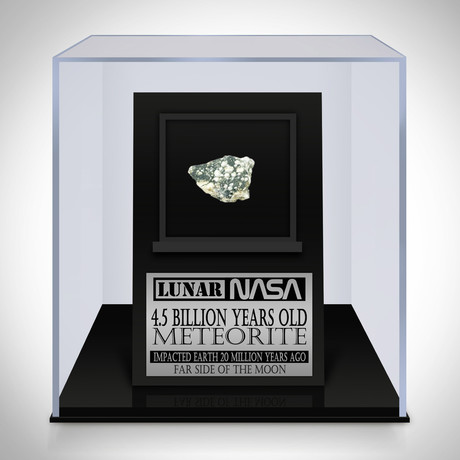Authentic Lunar Meteorite // Museum Display (Meteorite Only)