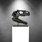 Allosaurus Dinosaur Museum Cast Skull // Display Mount