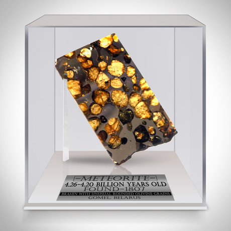 Meteorite Authentic Brahin Pallasite // Museum Display (Meteorite Only)