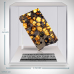 Meteorite Authentic Brahin Pallasite // Museum Display (Meteorite Only)