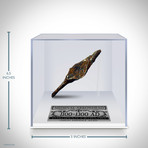 Ancient Medieval Arrow Head // Museum Display (Arrow Head Only)