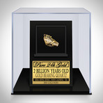 Pure Gold Authentic Quartz Slab // Museum Display (Quartz Slab Only)